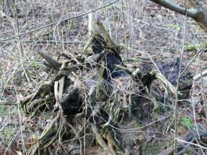 Der verlängerte Ulmenweg am westlichen Rand des Sodabuckels ist auch für Fußgänger gesperrt.