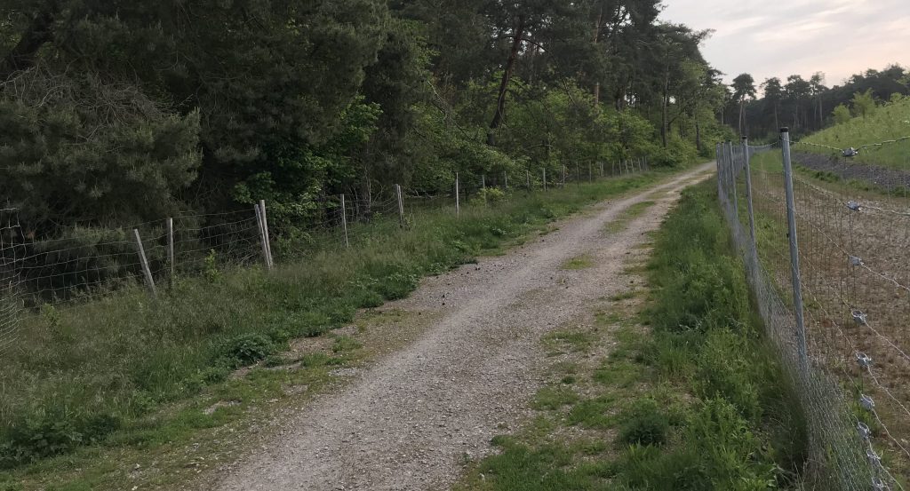 Im verlängerten Ulmenweg treffen die abgesperrten Areale von Sodabuckel (rechts) und Sandgruben (links) aufeinander.